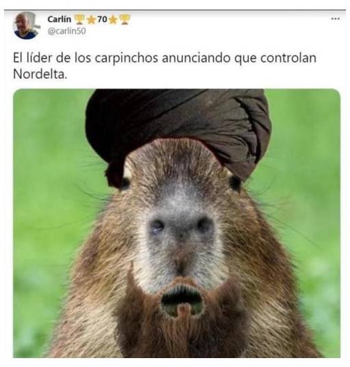 Los carpinchos tomaron Nordelta y ahora van por las redes "los memes"